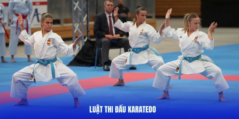 Luật trong thi đấu Karatedo