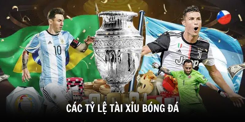 Khám phá các tỷ lệ tài xỉu bóng đá phổ biến và cách hiểu