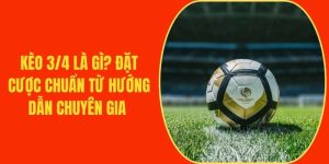 Kèo 3/4 Là Gì? Đặt Cược Chuẩn Từ Hướng Dẫn Chuyên Gia