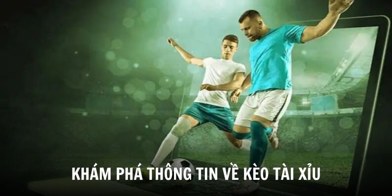 Khám phá thông tin về kèo tài xỉu cho người mới