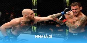 MMA Là Gì? Kiến Thức Giải Trí Quan Trọng Cần Nắm Bắt